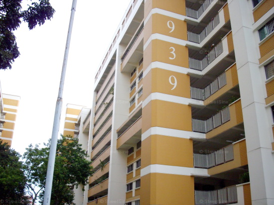 Jurong West Street 91 thumbnail photo